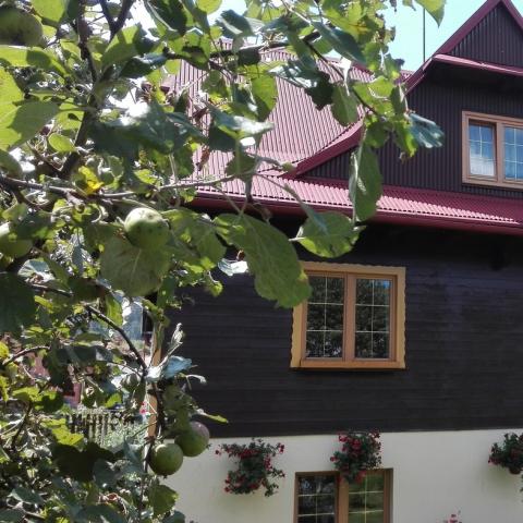 img-20170719-123609.jpg